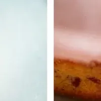 桜香る春スイーツ