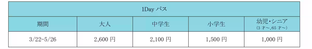 画像21