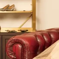 ウィステリアフジワラの魅力