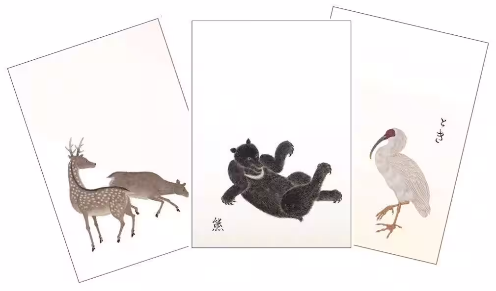 画像12