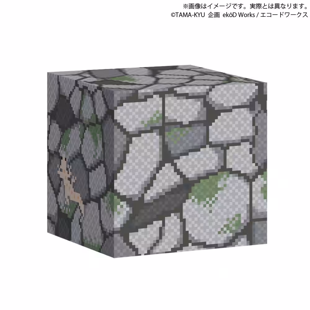 画像7
