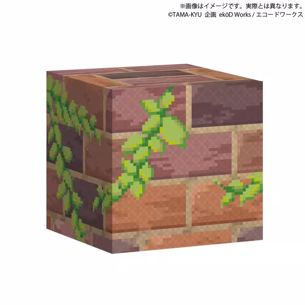 画像8