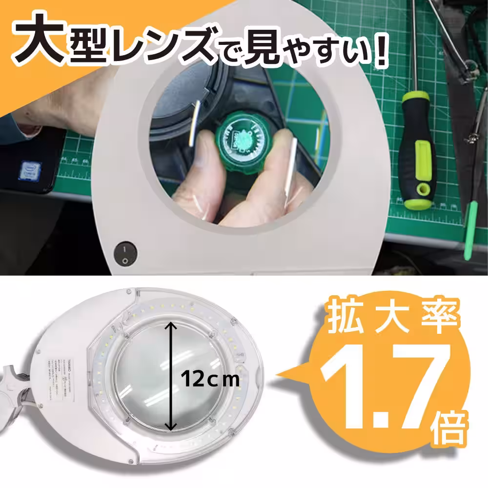 画像5