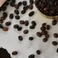 キレイをサポート