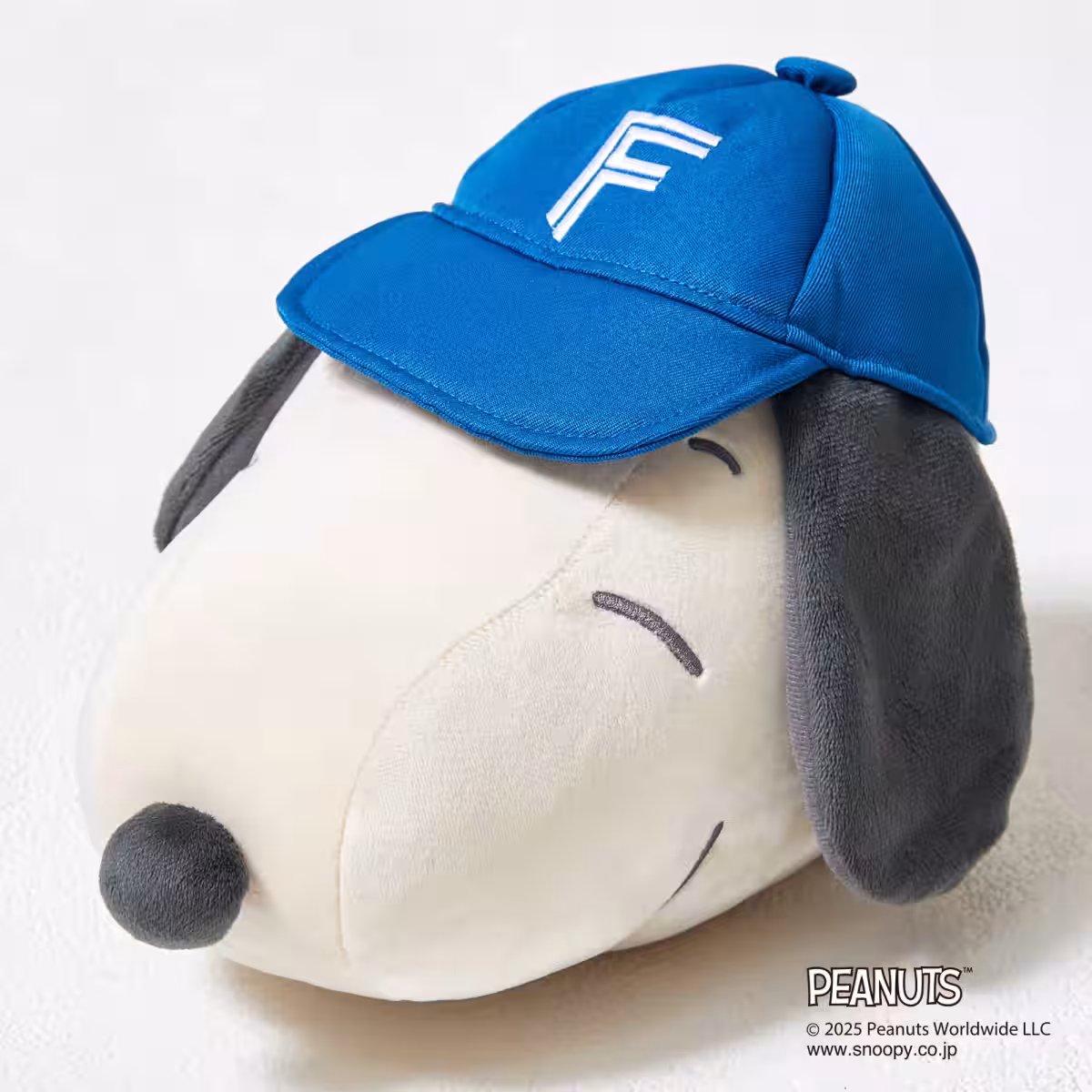 画像12