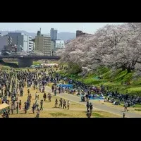 春のふくい桜まつり