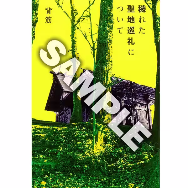 画像12