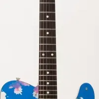 桜に寄せるFender