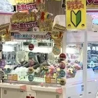 アミュージアム小松店