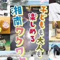 湘南新観光リーフレット