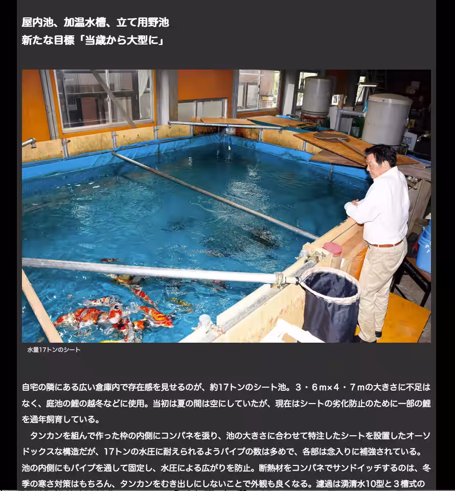 画像7