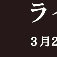 熊本城桜ライトアップ