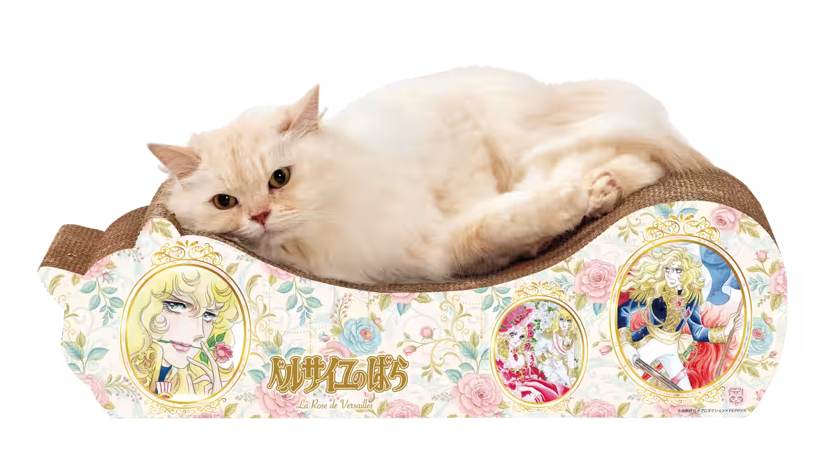 画像5