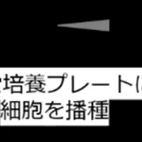 新試験法の発表