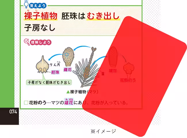 画像9