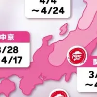 桜前線ピザ登場！