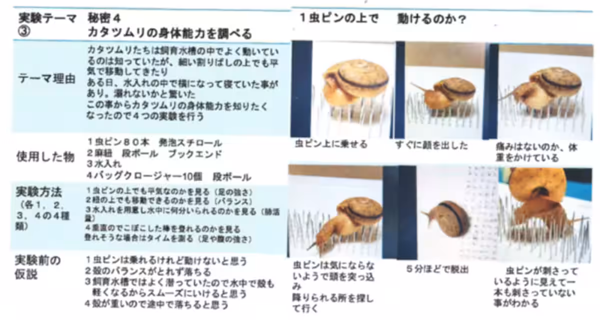 画像13