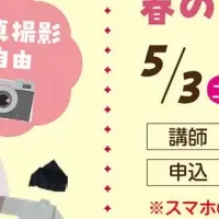 万葉春フェスタ