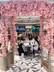 画像13