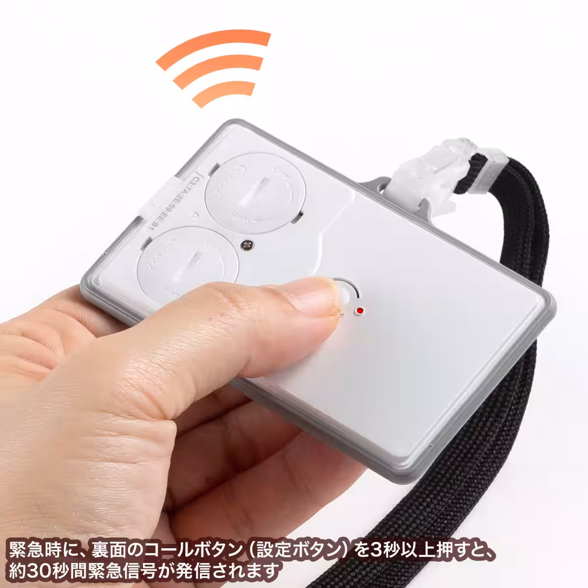 画像12