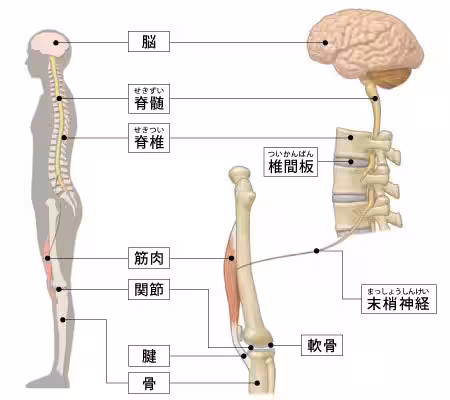 画像23