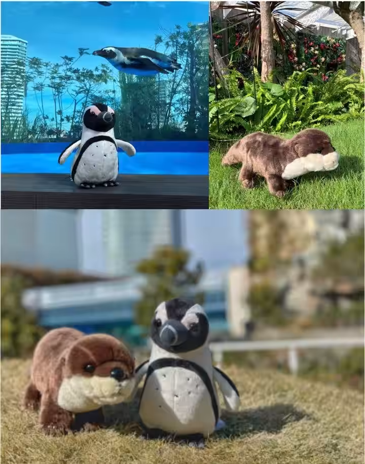 画像9