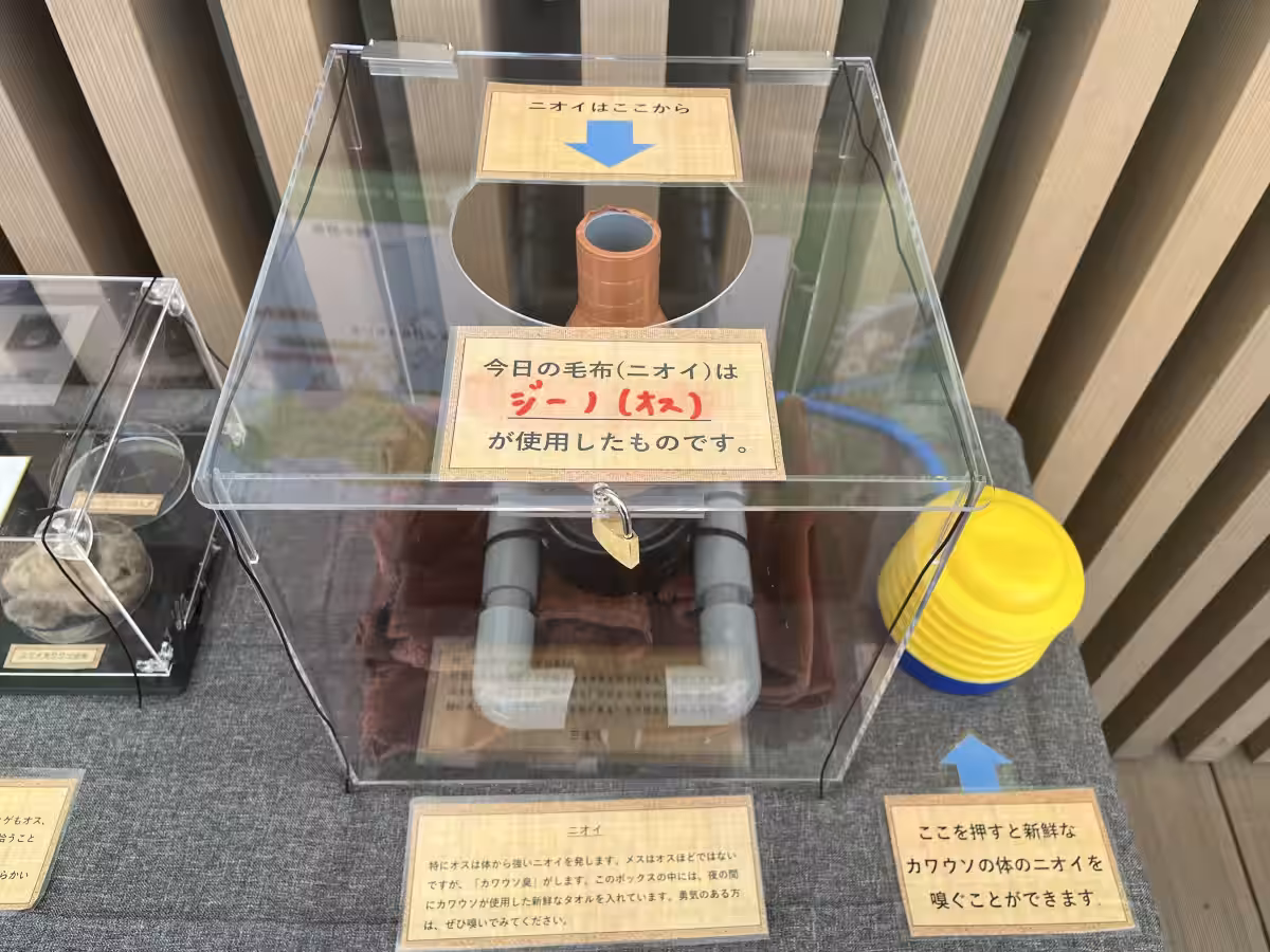 画像4
