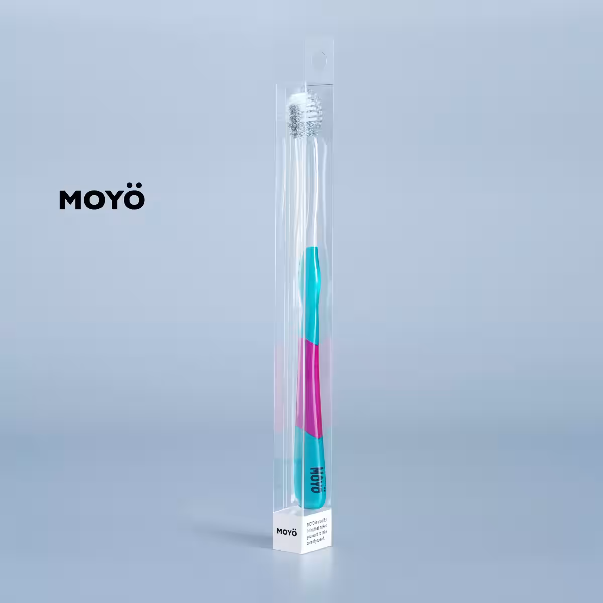 画像7