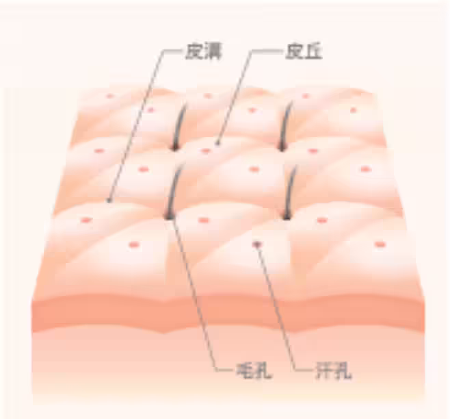 画像13