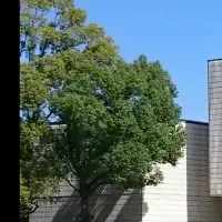 美術館連携事業公募