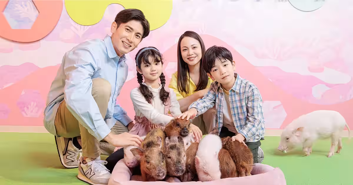 画像5
