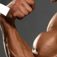 筋肉投資新ファンド