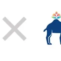 Wonder Camelが子会社化