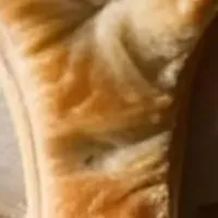 食べる焼きたてパンツ