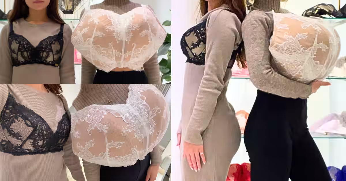 画像7