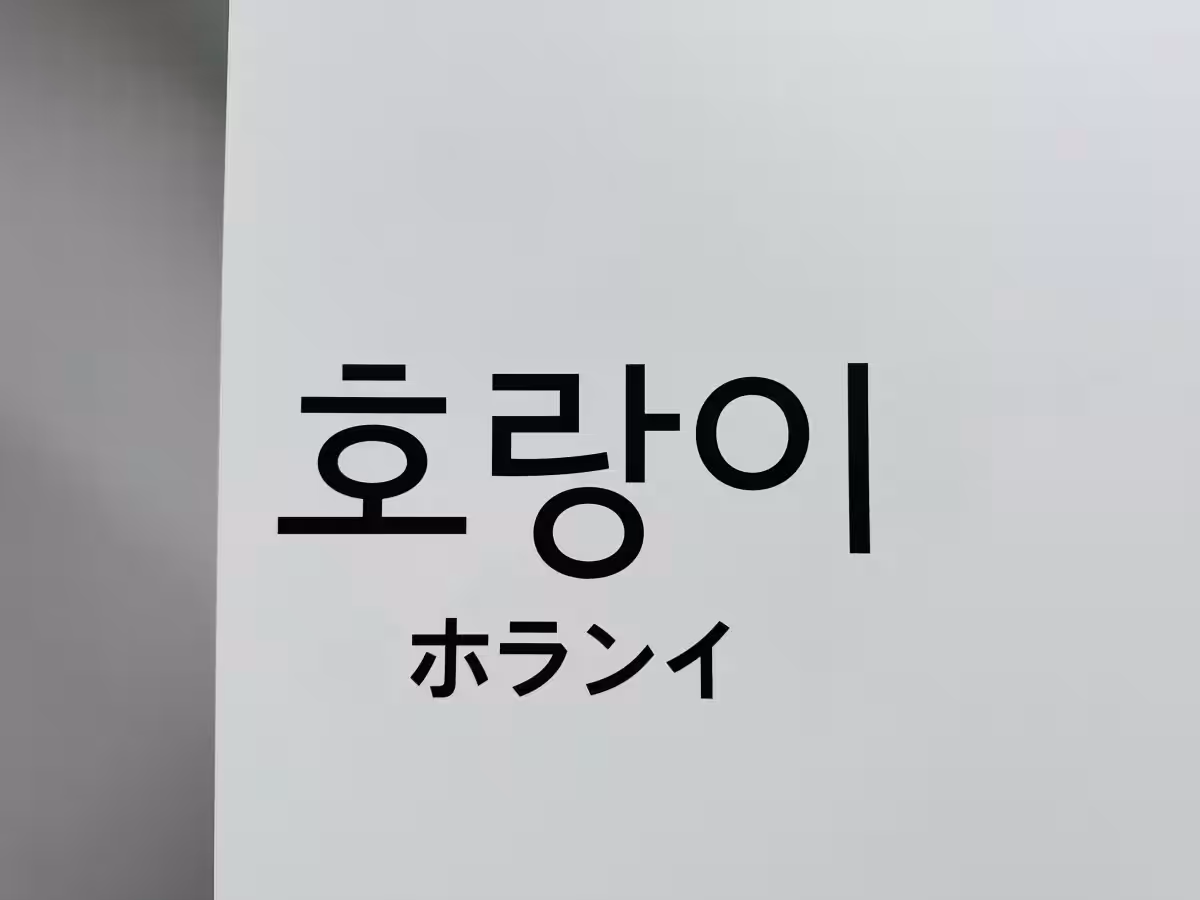 画像8