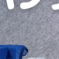 愛犬の新アイテム