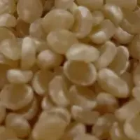 生分解性「lyfecycle」