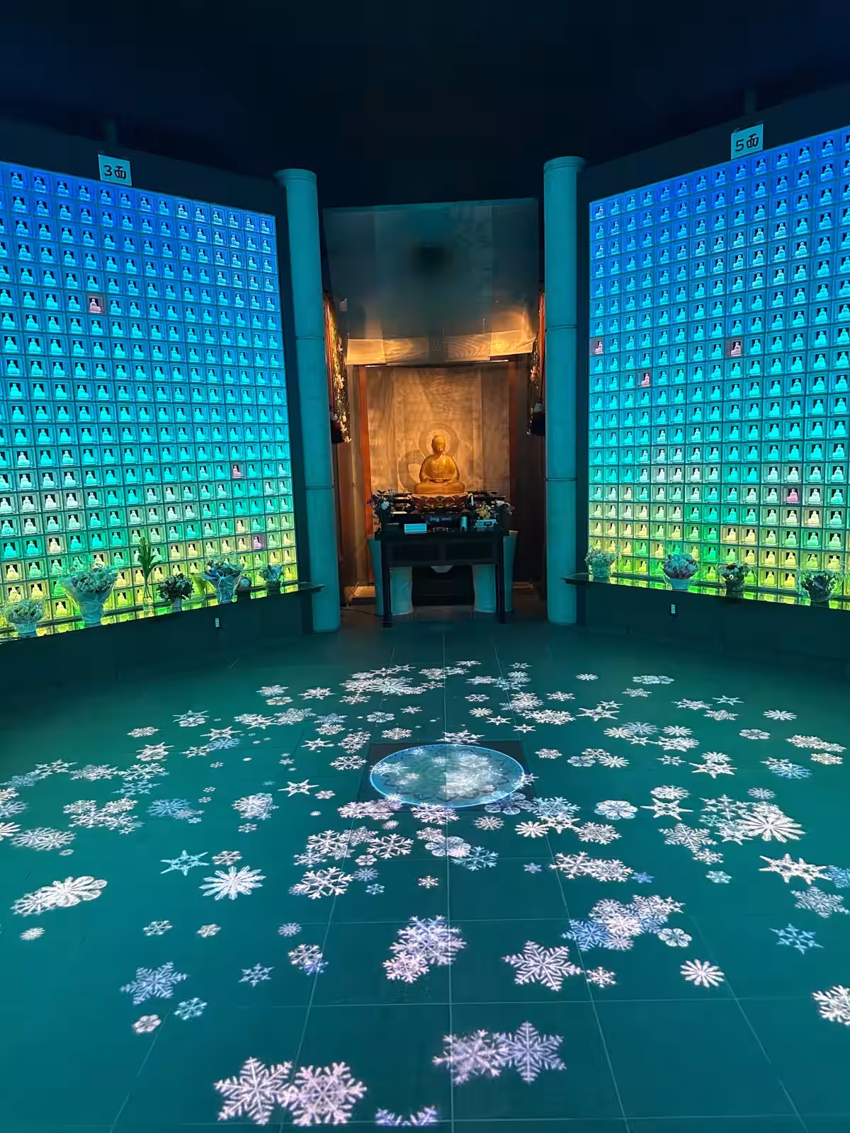 画像7