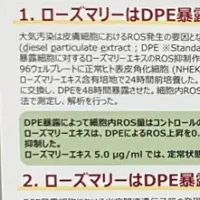 ローズマリーの効果