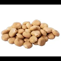 ナガセサンバイオの新殺菌剤