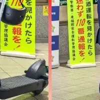 チャリチャリの春の活動
