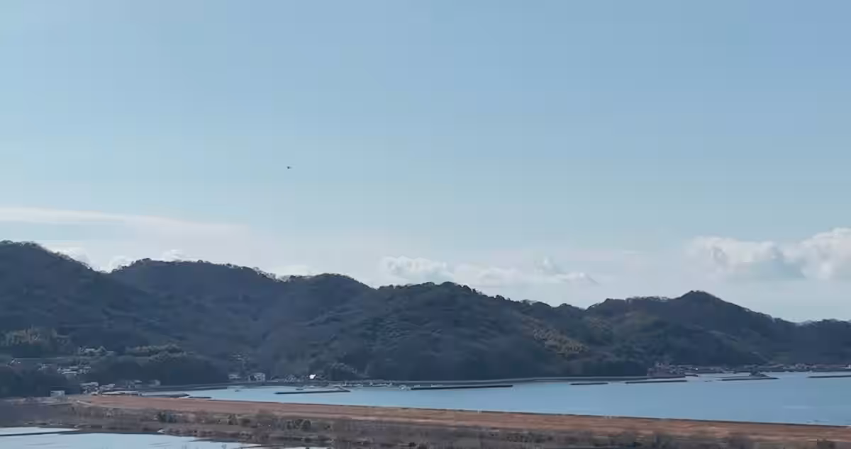 画像8