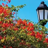 エシカルライフ検定