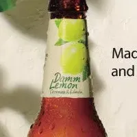 新登場！ダム・レモン