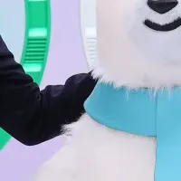 アタック25の日が誕生