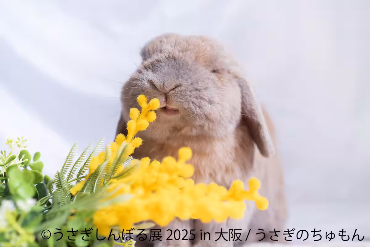 画像10