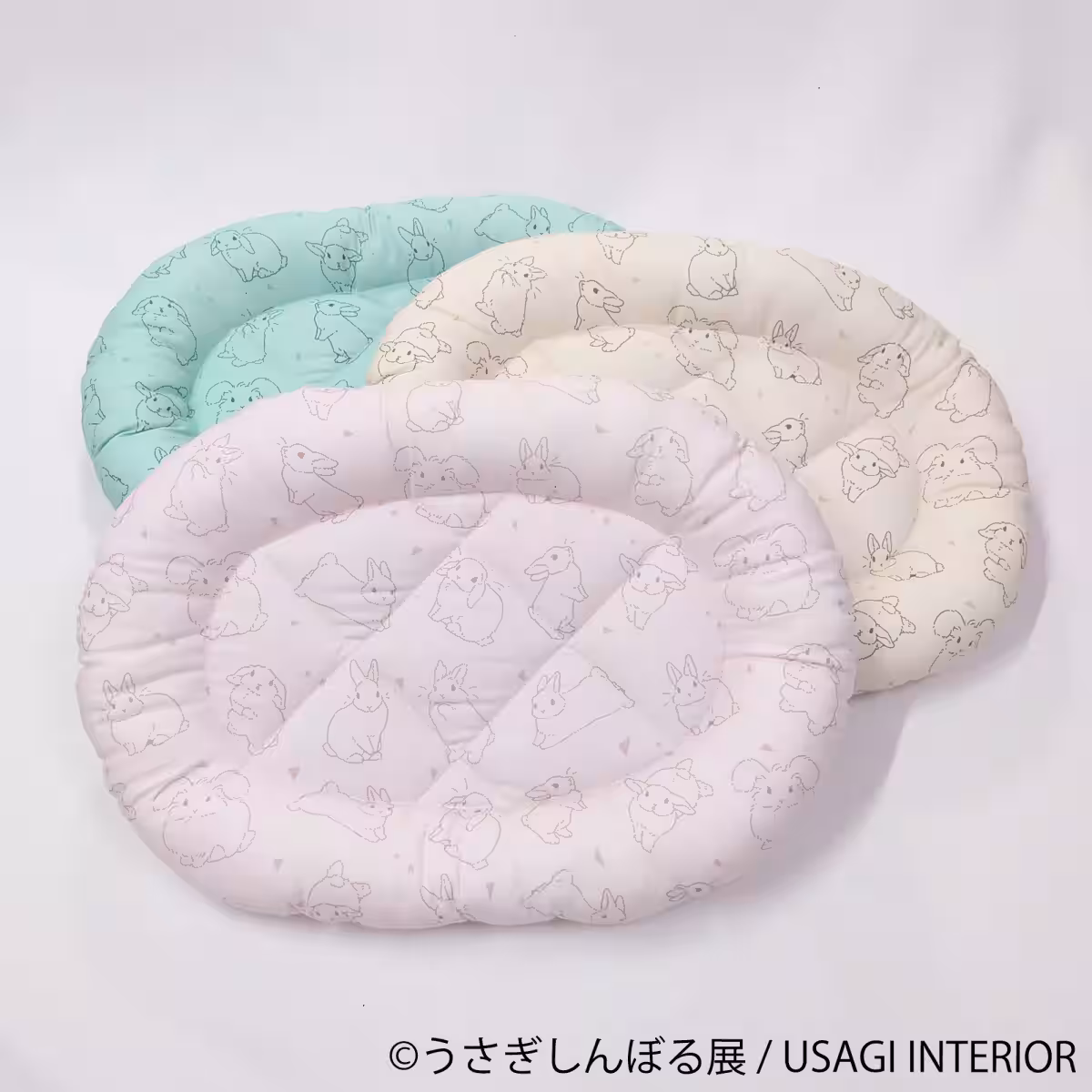 画像14