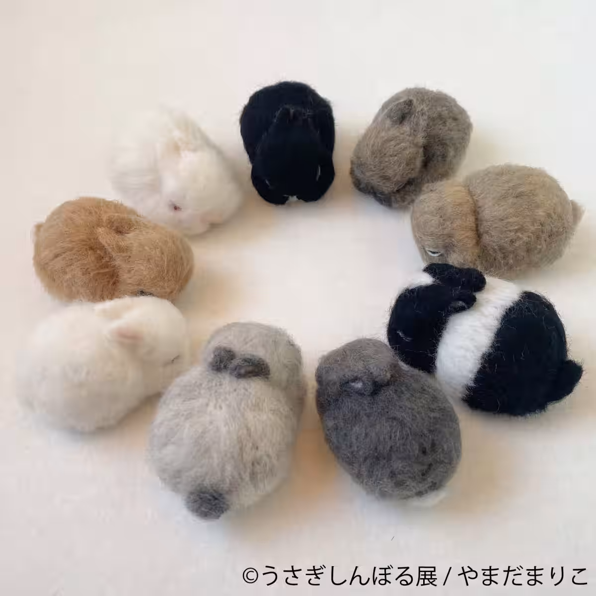画像16
