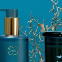 Mineralシリーズ新登場